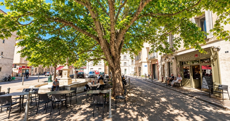 Le restaurant - L'ardéchois Perché - restaurant AVIGNON